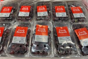 Las uvas sin semillas estan a la venta! 2